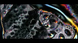 Rare footage of real liquid crystals