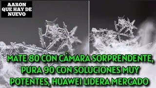 MATE 80 CON C&Aacute;MARA SORPRENDENTE, PURA 90 CON SOLUCIONES MUY POTENTES, HUAWEI LIDERA MERCADO 