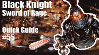 Black Knight   I   Pinball Flipper