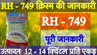 RH 749 mustard variety full details | rh 749 sarso | FARMERS WING |