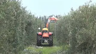 Rinieri ORP orchards pruner with disc saws olive
