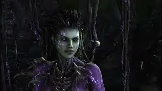 StarCraft 2 Heart of the Swarm 