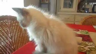 DSCN3879