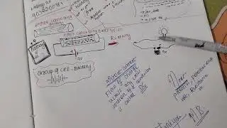 #ICSE/CBSE Basic current electricity explanation# 2