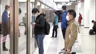 Hubei's Internal, Outbound Traffic Gradually Resume Operations