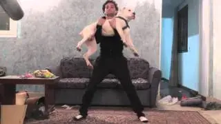 FFL365: Boxer puppy wont let me workout.