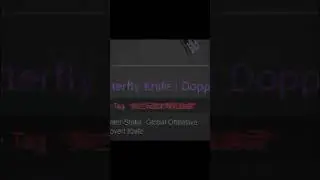 English VS Chinese nametag in CSGO