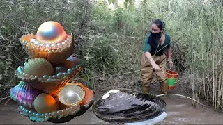 Wild freshwater giant mussels are filled with precious pearls in their bellies