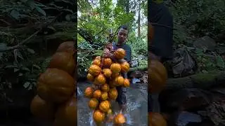 Скрытые сокровища природы, которых вы никогда раньше не видели.