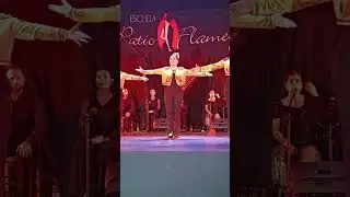 Patio Flamenco - Gala 2025 de mi BB