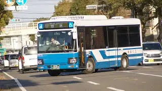 今年もよろしくお願いします
