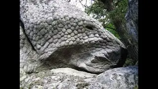 El Maravilloso Bosque de Fontainebleau.