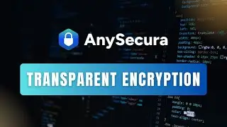 Transparent Encryption for Data Protection | Anysecura DLP Guide