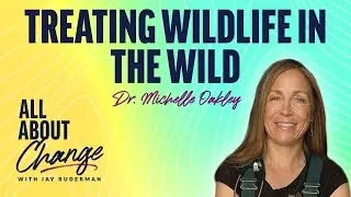 Dr. Michelle Oakley - Treating Wildlife in the Wild