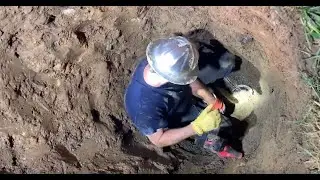 Kitten Trapped Underground is Rescued by Roto-Rooter Plumbers