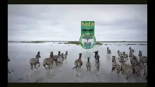Kavango Zambezi Transfrontier Conservation Area