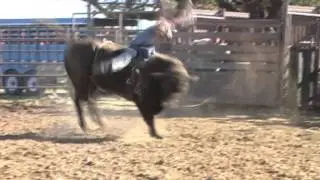KASH HB #69