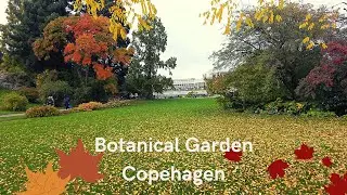 COPENHAGEN BOTANICAL GARDEN | Autumn 2022 | Denmark