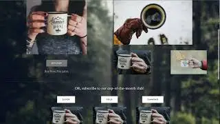 How to add Stripe Payment Links and Stripe Customer Portal to any website