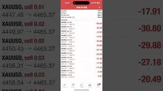 El mejor Bot de oro 