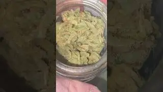 BLUE DREAM from high-end Farms and sour banana sherbet from KHUSH Kush 🔥🔥 #cannabisheals #hiphop