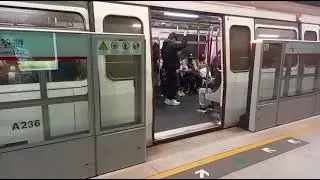 MTR TWL M Train A236 A223 行車片段 