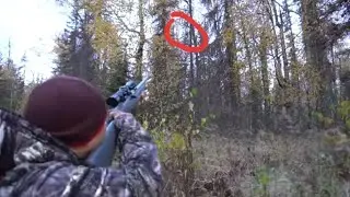 Spruce Grouse🐦 hunting Alaska, catch, clean, cook and eat. Tua yij🐦 thiab ua yij noj qab heev.🐦🍲
