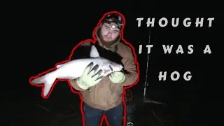 Early Spring | Night Fishing | First Blue cat of 2020