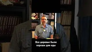 Все деревья были хороши для еды