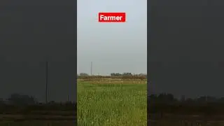 #farmer #farming #village# #mithila