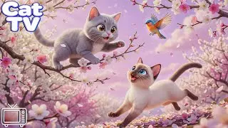 Cartoon for Cats: Best Funny Cat Videos for Cats to Watch 😻 Calm Separation Anxiety Music for Cats