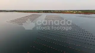 Drone aerial flight over oyster cages stock video. Canadian fisheries. Darnley Basin, PEI, Canada 4K