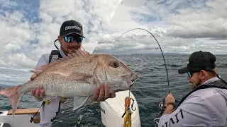 SNAPPER IN THE HAURAKI - Friendly Fishing Competition