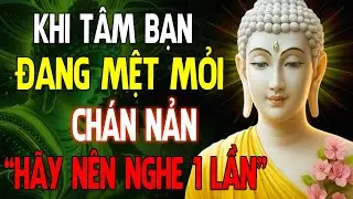 Nghe Một Lần Trong Đời: Lời Phật Dạy Khi Tâm Bạn Đang Mệt Mỏi | Tâm An Cửa Thiền
