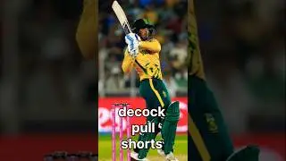 south africa Vs newzealand match report | #cricket #ipl #shorts