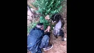 Animales urbanos _ Cristian del junglo