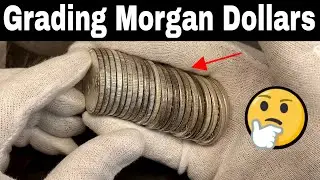 Grading a Roll of Morgan Silver Dollars - Searching for RARE VAMs too