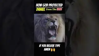 Daniel Protected By 