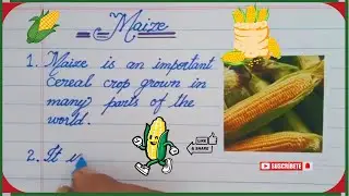 15 Lines Essay on Maize (Corn) | Short Essay on Maize | Short Essay on Food Crops | Maize Essay