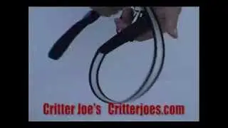 Critter Joe's Pet Product Review - LED Lighted Dog Leash