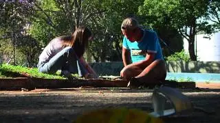 Pedras, plantas e outros caminhos