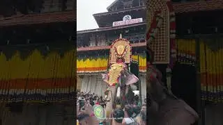 Thechikottukavu Ramachandran | Thrissur Pooram