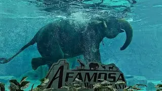 A Famosa Safari Wonderland | Fatima first trip to Melaka