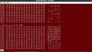 Memory Analysis using Scar Malware Indicators and Volatility Framework