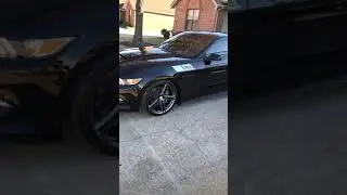 2016 mustang 5.0 update roush hood scoop and heat extractors