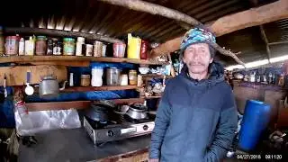 Drinking Yak milk and Yak Masala tea | Mardi  Base camp Himal Trek |