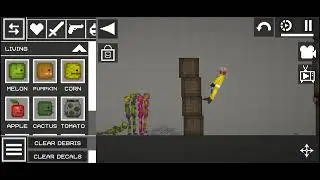 molon Sandbox