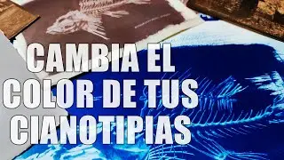 Cianotipia sepia: virado con lej&iacute;a y t&eacute; verde