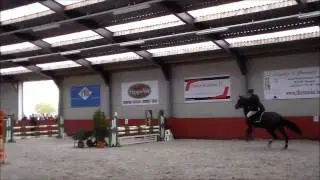 Che Incredibile Di Cabra 2e jumping 80-90cm