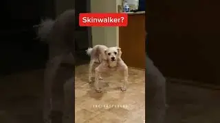 Skinwalker 😐?? #shorts #scary #skinwalkers